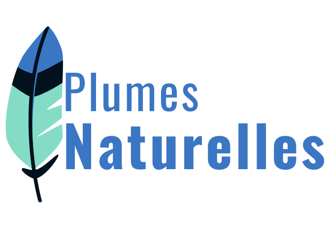 Authentic Feathers 🪶 Bird feathers for all your projects