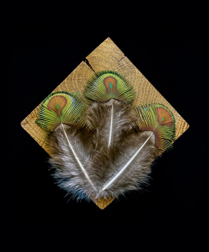 RARE EYE of the Peacock Feather ;Tan; suede,;teal and green; gold buckle. Sz xxs Large Peacock Eye, 10 Pieces - 10-12 main image 3