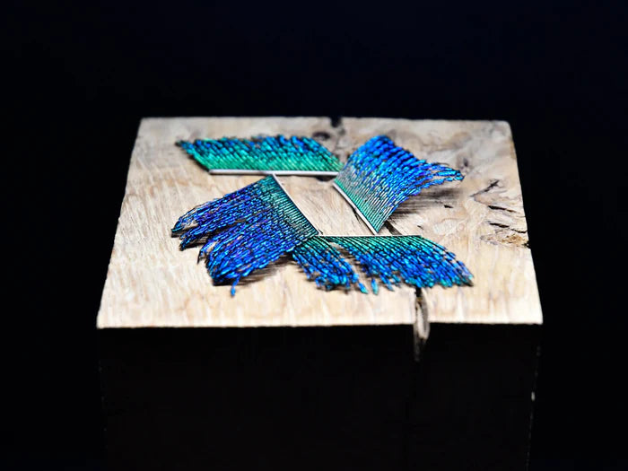 2-inch sections of peacock sword feathers