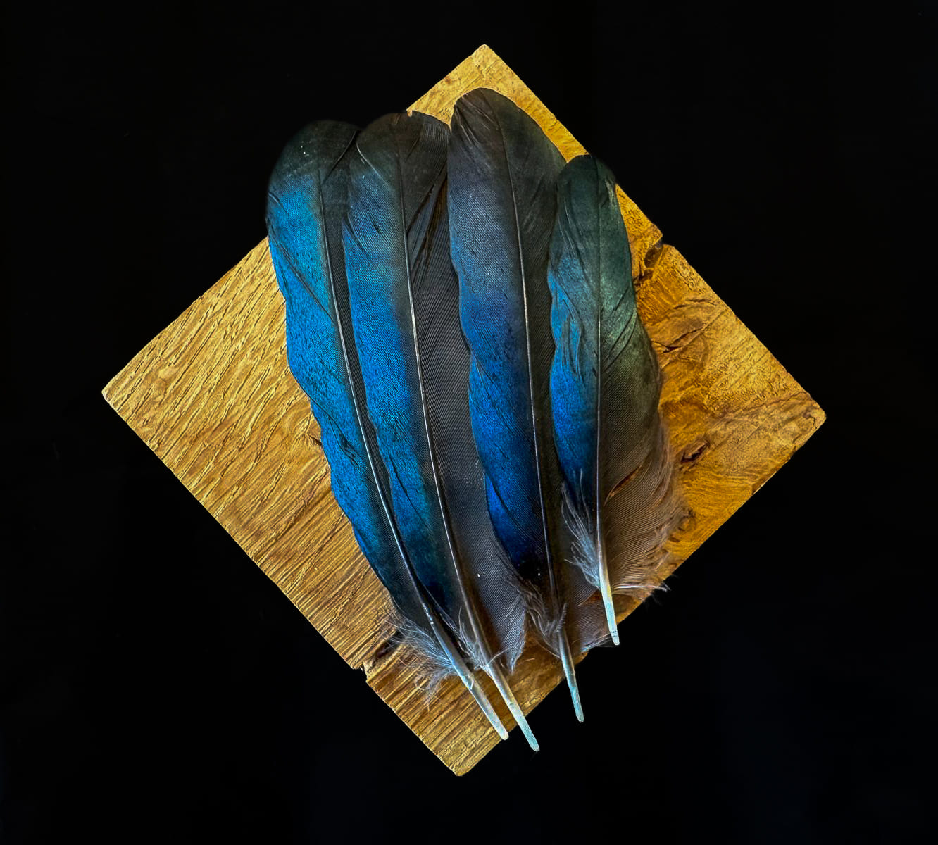 bluee feathers はまく〜ん様 3本おまとめ品 bluee feathers はまく〜ん様 3本おまとめ品 Amazon.com