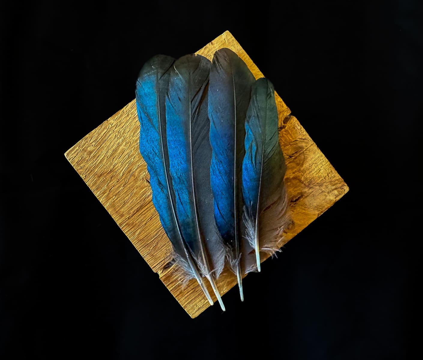 bluee feathers 〈No.129〉スーパーセブン11mm Just a moment