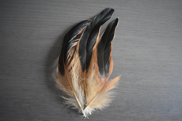 Black and orange rooster feathers