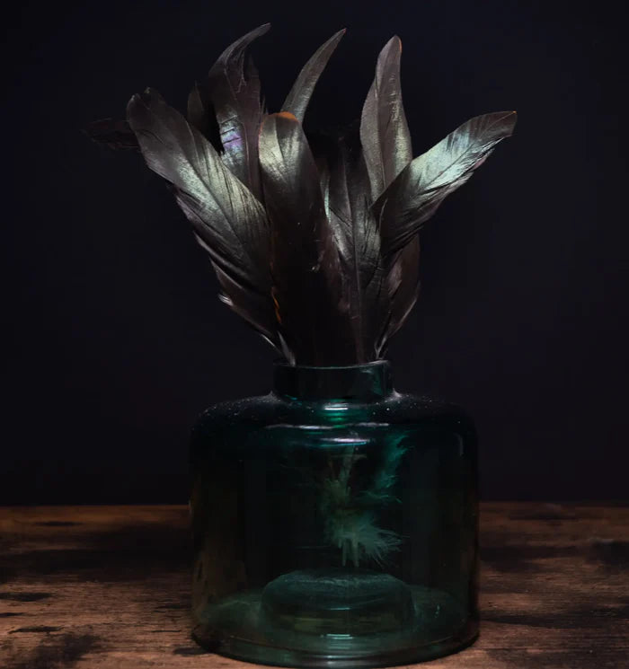 Black rooster feathers