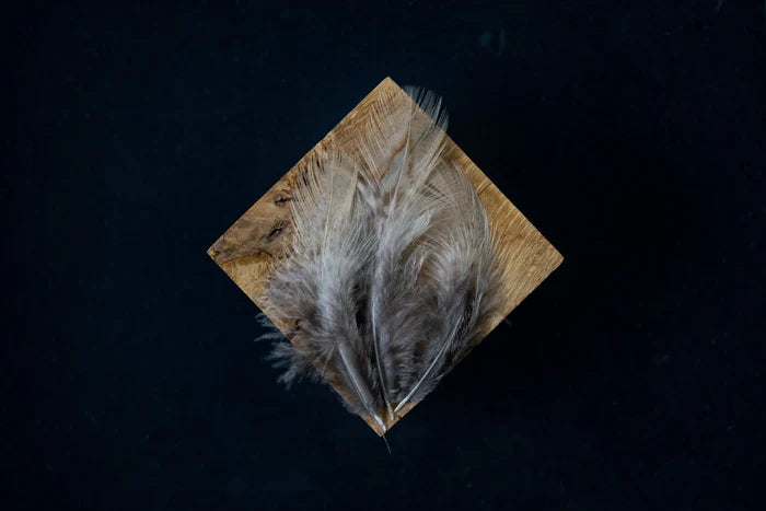 Gray Common Pheasant Feathers - 2 to 4 in - Authentic Feathers