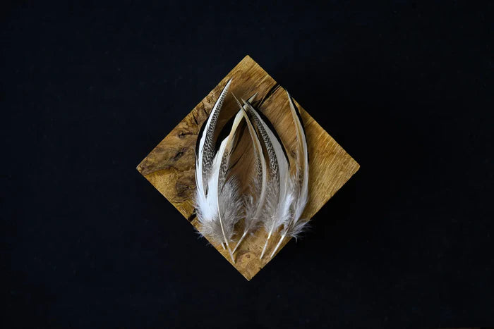 Gray and white duck feathers, 3 to 4 in