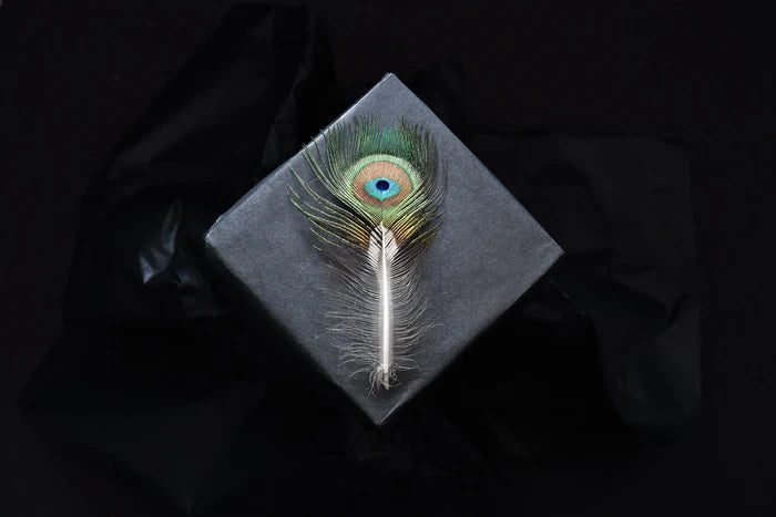 Green peacock feathers with small eye - 3.1 to 4.7 in