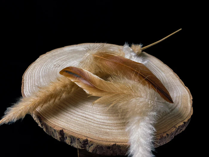 Large rooster feathers 8 in
