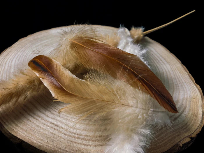 Large rooster feathers 8 in