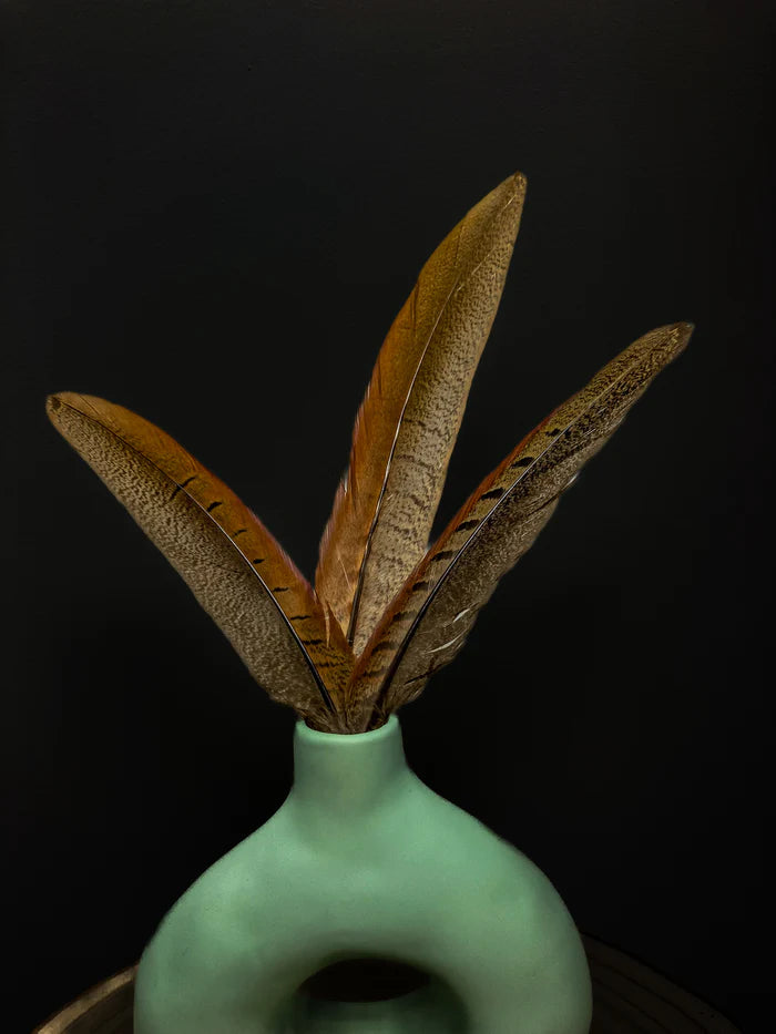 Male common pheasant feathers - 7 to 8 in