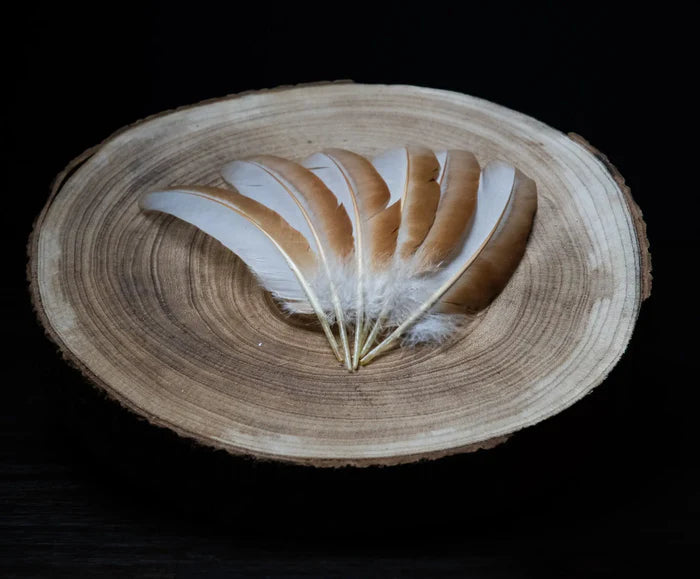 Medium white and orange hen feathers