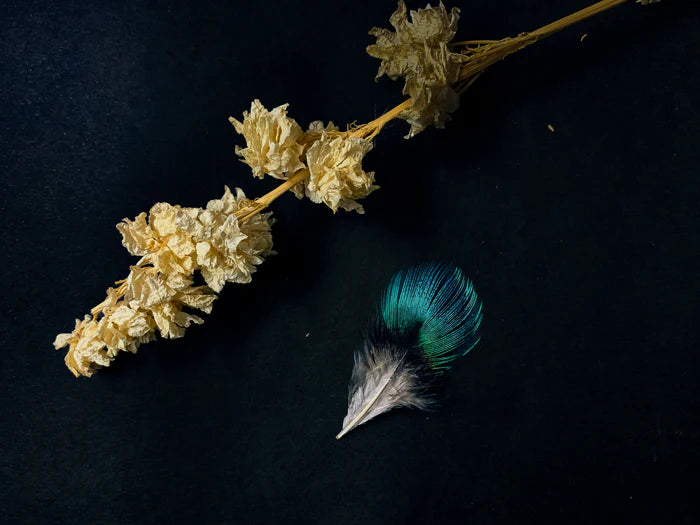 Small blue peacock feathers
