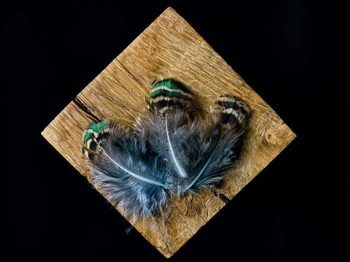 Small peacock feathers - 2.4 to 3.2 in